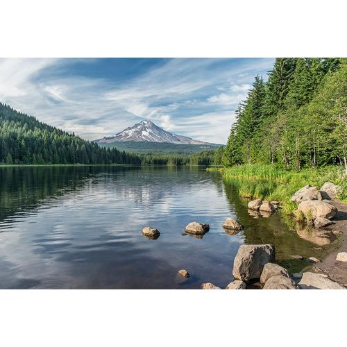 Tilley, Rob 아티스트의 Oregon-Mt Hood National Forest Trillium Lake and Mt Hood작품입니다.